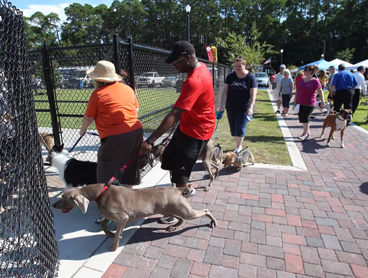 Al Helms Dog Park
